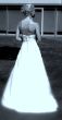 DSC_0084.NEF.jpg